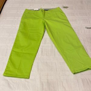 Crown and Ivy pea green regular casual pants size 8R NWT (OL)
